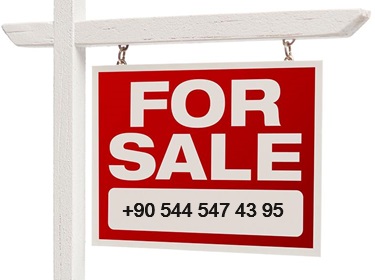Real Estate Listings